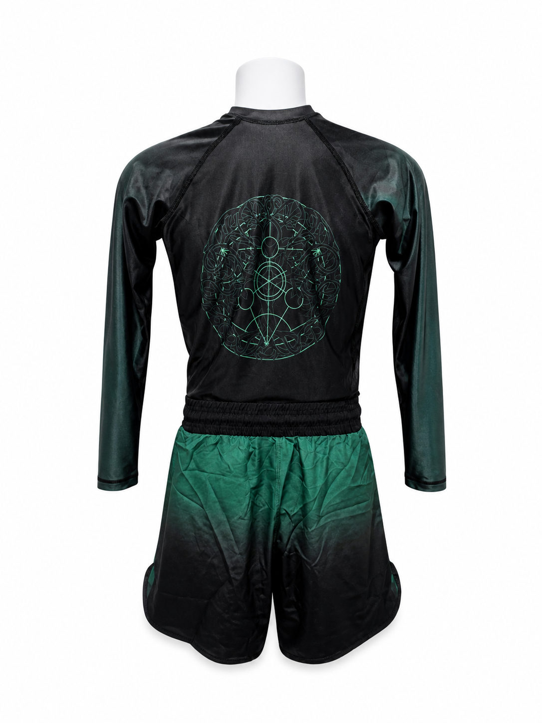 Roots of the Grappler – Tree of Life BJJ Rash Guard | Trust-Clothes