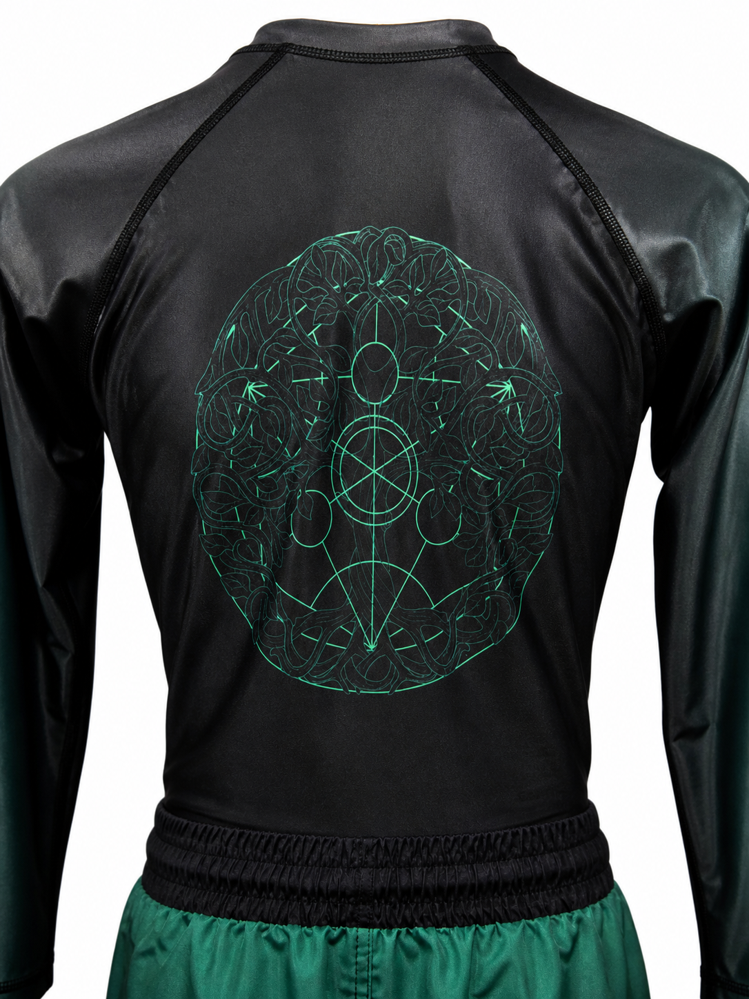 Roots of the Grappler – Tree of Life BJJ Rash Guard | Trust-Clothes